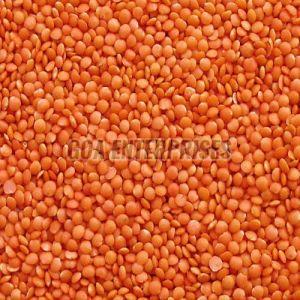 Organic Masoor Dal