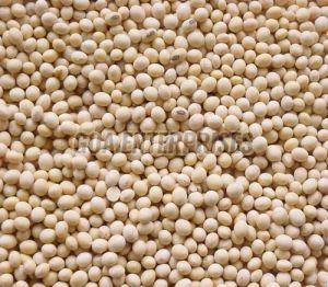 Raw Soybean