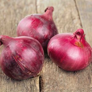 C Grade Red Onion