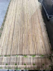 A Grass Ply Bamboo Mat Board