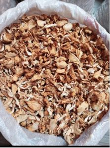 Dried Oyster Mushroom