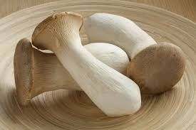Fresh King Oyster Mushroom