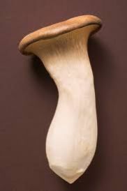 Fresh King Oyster Mushroom