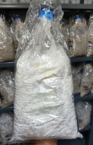 Pink Oyster Mushroom Spawn
