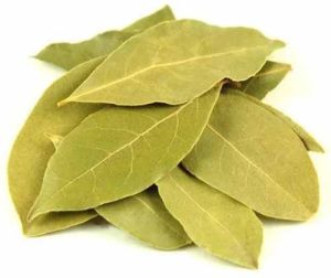 A Grade Dry Bay Leaf