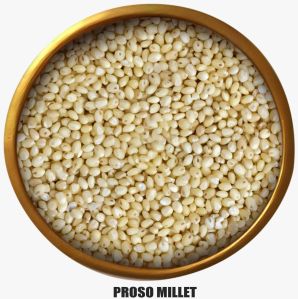 A Grade Natural Proso Millet