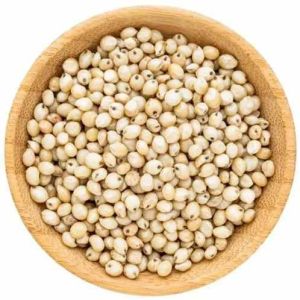A Grade White Sorghum Millets