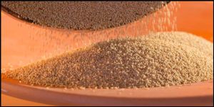 Amaranth Pseudo Grain