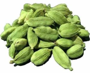 Bold Green Cardamom