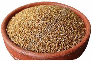 A Grade Barnyard Millet