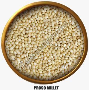 A Grade Natural Proso Millet