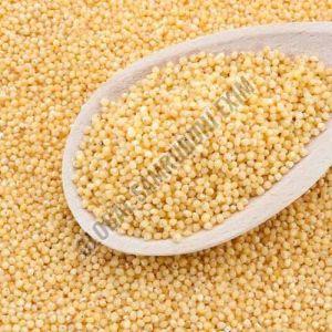 A Grade White Little Millet