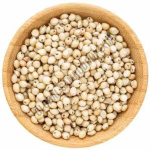 A Grade White Sorghum Millets