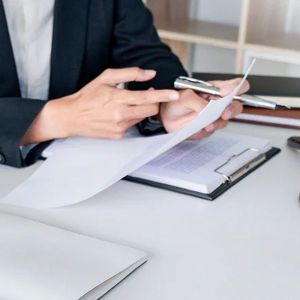 Litigation Support Services