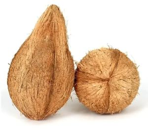 Semi Husked Coconut