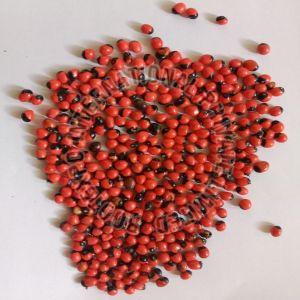 Abrus Seeds