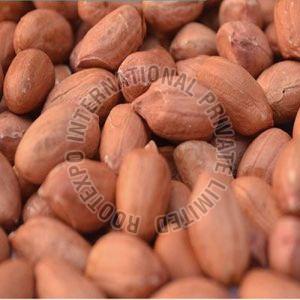 Bold Peanut Seeds