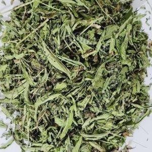 Stevia Leaves