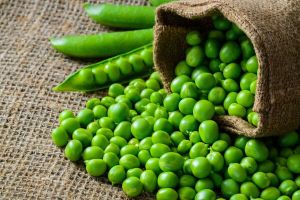 premium indian fresh maar peas