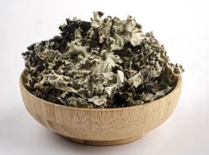 Black Stone Flower