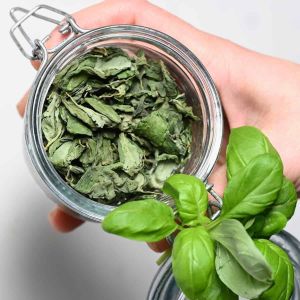 Dried Basil Leaves