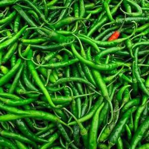 G4 Indian Green Chilli