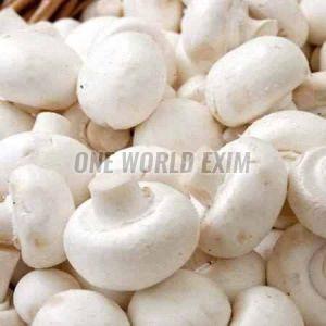 A Grade Fresh Mushrooms