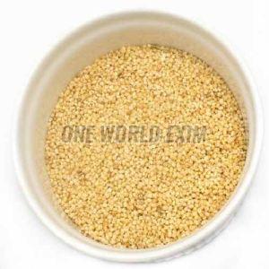 A Grade Natural Proso Millet