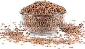 Indian Brown Lentils