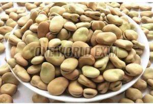 Natural Fava Beans