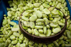 Natural Green Field Beans