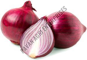 fresh onion