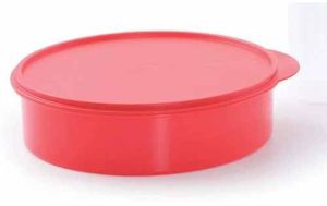 300ml Tupperware Plastic Spice Box