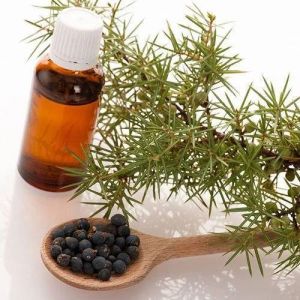 Juniper Berry Oil