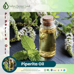 Mentha Piperita Oil