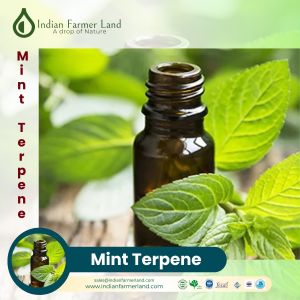 mint terpene oil
