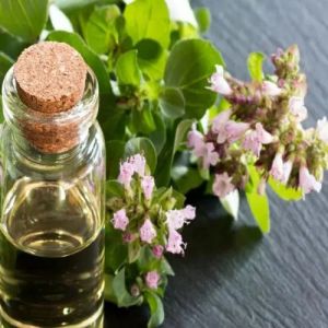 Oregano Oil