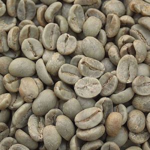 A Grade Washed Robusta Coffee Beans