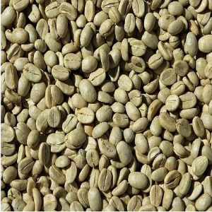 AB Grade Washed Robusta Coffee Beans