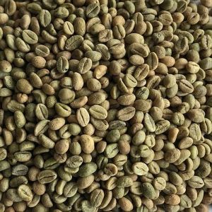 B Grade Robusta Cherry Coffee Beans