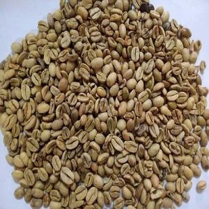 C Grade Robusta Cherry Coffee Beans