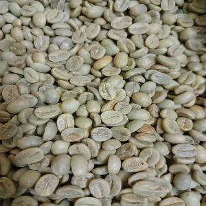 PB Grade Washed Arabica Coffee Beans