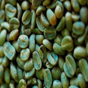 PB Grade Washed Robusta Coffee Beans