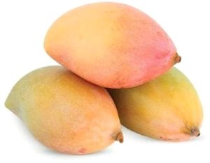 Totapuri Mango Pulp