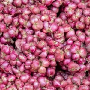 Fresh Small Red Onion Fresh Small Red Onion