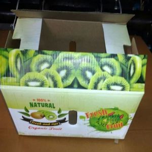 Kiwi Corrugated Boxes Kiwi Corrugated Boxes