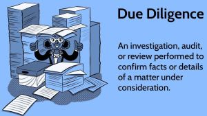 Investment Due Diligence Services