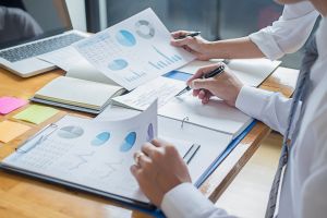 Statutory Auditing Services