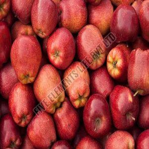 A Grade Fresh Apple