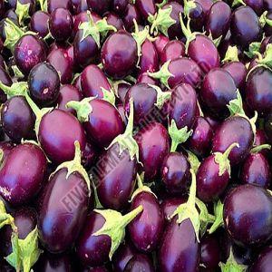 A Grade Fresh Eggplant Brinjal